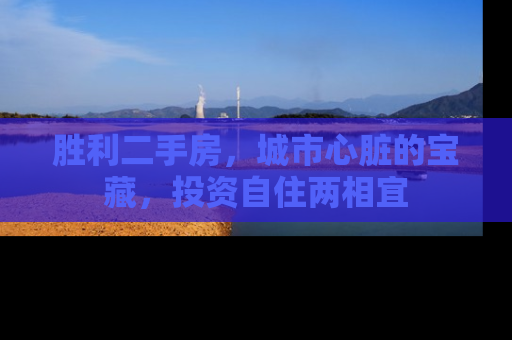 胜利二手房，城市心脏的宝藏，投资自住两相宜