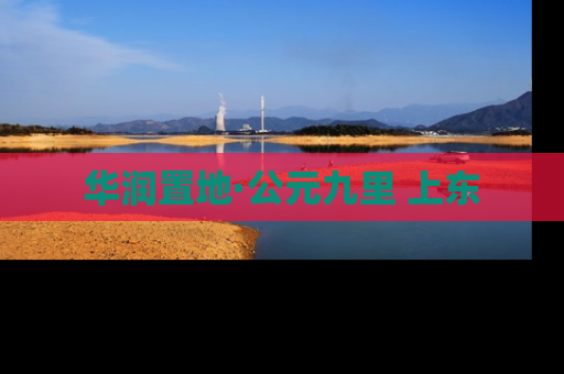 华润置地·公元九里 上东