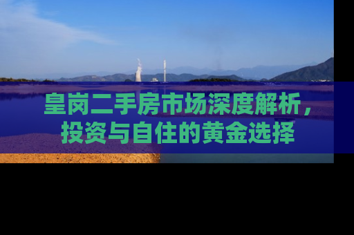 皇岗二手房市场深度解析，投资与自住的黄金选择