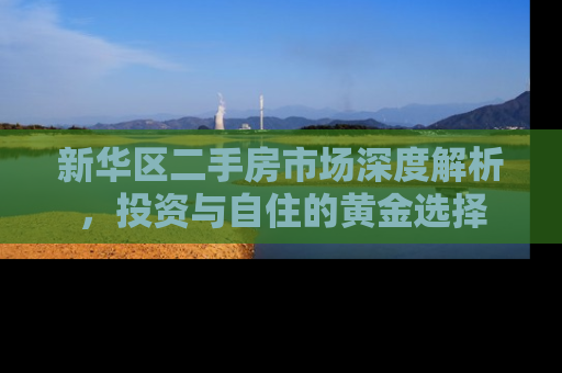 新华区二手房市场深度解析，投资与自住的黄金选择