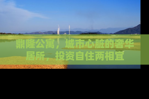 鼎隆公寓，城市心脏的奢华居所，投资自住两相宜