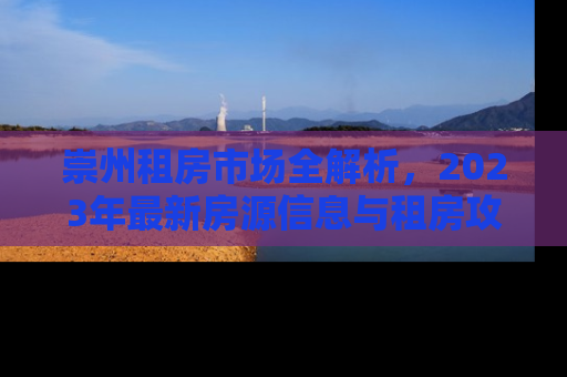 崇州租房市场全解析，2023年最新房源信息与租房攻略