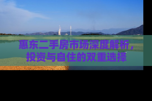 惠东二手房市场深度解析，投资与自住的双重选择