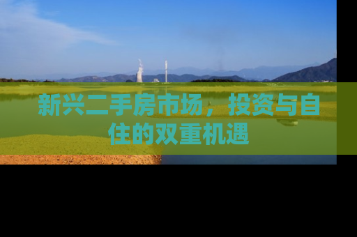 新兴二手房市场，投资与自住的双重机遇