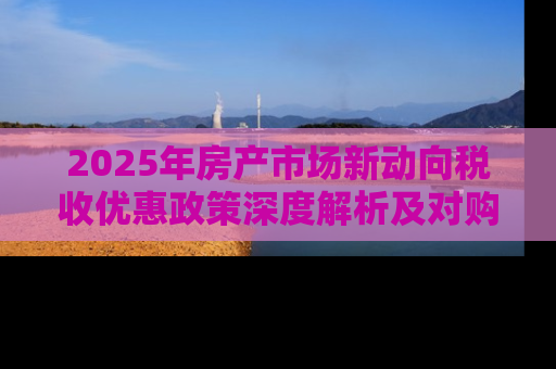 2025年房产市场新动向税收优惠政策深度解析及对购房者的影响