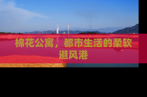 棉花公寓，都市生活的柔软避风港