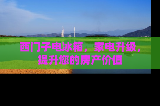 西门子电冰箱，家电升级，提升您的房产价值