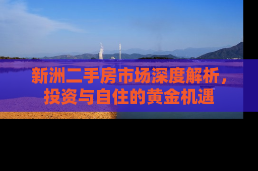 新洲二手房市场深度解析，投资与自住的黄金机遇