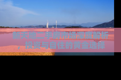 新天地二手房市场深度解析，投资与自住的黄金选择