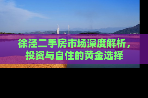 徐泾二手房市场深度解析，投资与自住的黄金选择