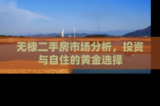 无棣二手房市场分析，投资与自住的黄金选择