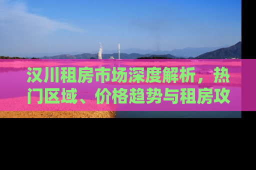 汉川租房市场深度解析，热门区域、价格趋势与租房攻略