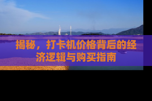揭秘，打卡机价格背后的经济逻辑与购买指南