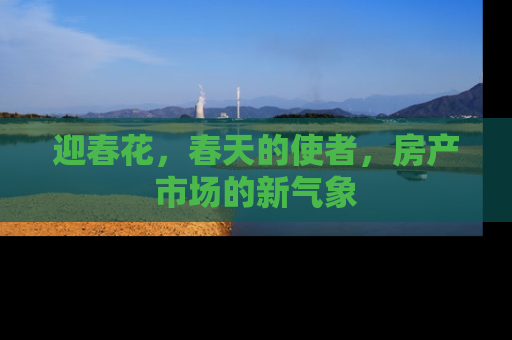 迎春花，春天的使者，房产市场的新气象