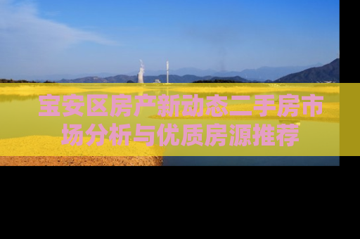 宝安区房产新动态二手房市场分析与优质房源推荐