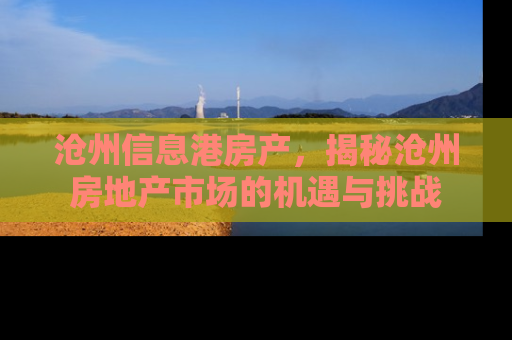 沧州信息港房产，揭秘沧州房地产市场的机遇与挑战