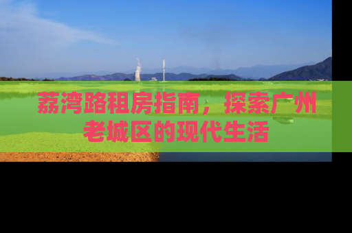荔湾路租房指南，探索广州老城区的现代生活