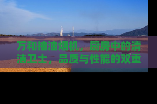 万和抽油烟机，厨房中的清洁卫士，品质与性能的双重保证