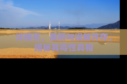 洋槐花，美丽与误解并存，揭秘其毒性真相