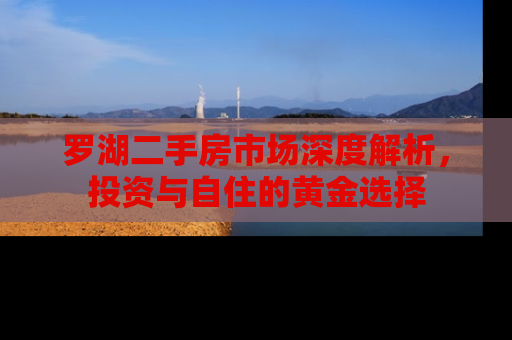 罗湖二手房市场深度解析，投资与自住的黄金选择