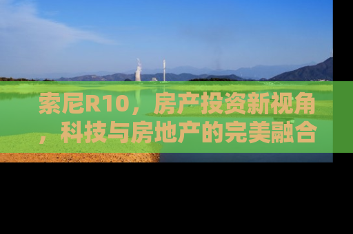 索尼R10，房产投资新视角，科技与房地产的完美融合