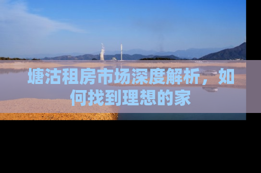塘沽租房市场深度解析，如何找到理想的家