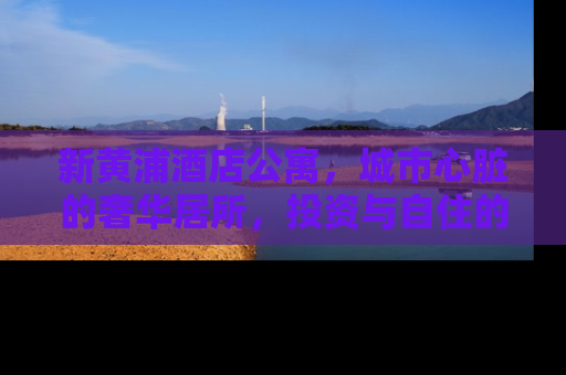 新黄浦酒店公寓，城市心脏的奢华居所，投资与自住的双重选择