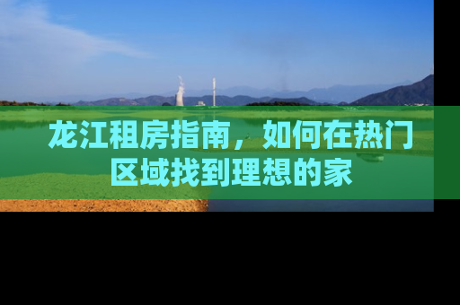 龙江租房指南，如何在热门区域找到理想的家
