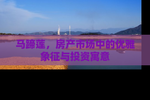 马蹄莲，房产市场中的优雅象征与投资寓意