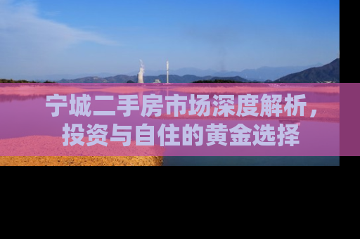 宁城二手房市场深度解析，投资与自住的黄金选择