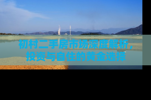 初村二手房市场深度解析，投资与自住的黄金选择