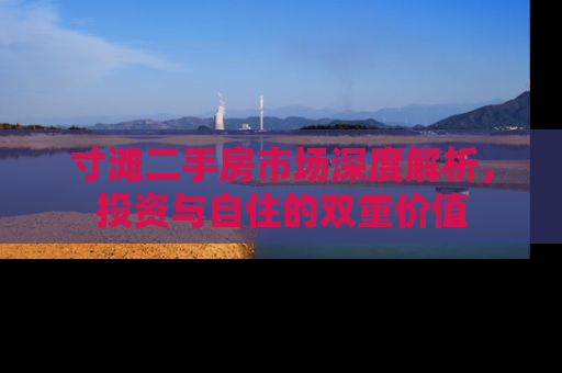 寸滩二手房市场深度解析，投资与自住的双重价值