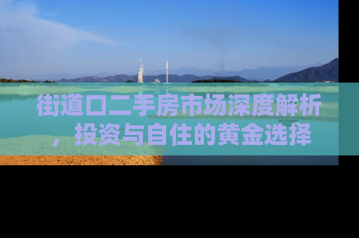 街道口二手房市场深度解析，投资与自住的黄金选择