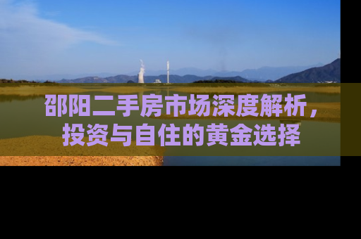 邵阳二手房市场深度解析，投资与自住的黄金选择