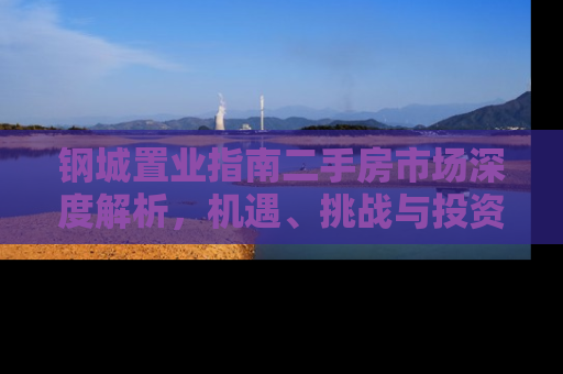 钢城置业指南二手房市场深度解析，机遇、挑战与投资策略
