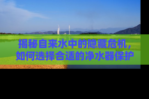 揭秘自来水中的隐藏危机，如何选择合适的净水器保护家人健康