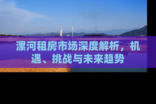 漯河租房市场深度解析，机遇、挑战与未来趋势
