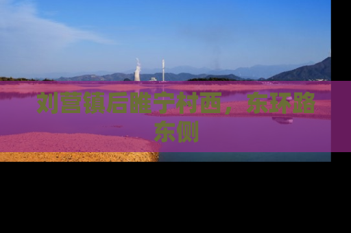 刘营镇后睢宁村西，东环路东侧