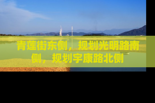 青莲街东侧，规划光明路南侧，规划宇康路北侧