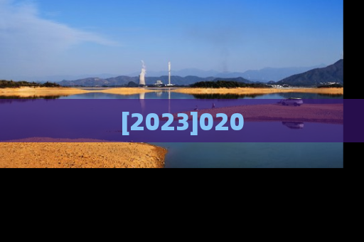 [2023]020