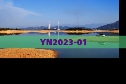 YN2023-01