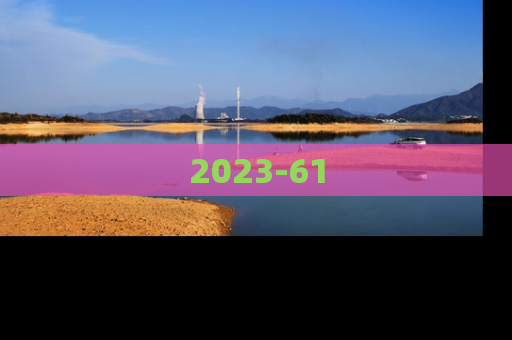 2023-61
