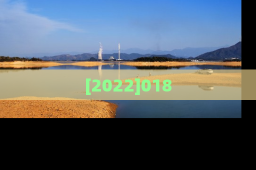 [2022]018