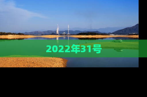 2022年31号