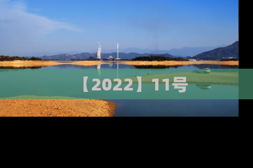 【2022】11号