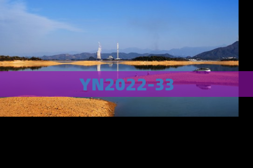 YN2022-33