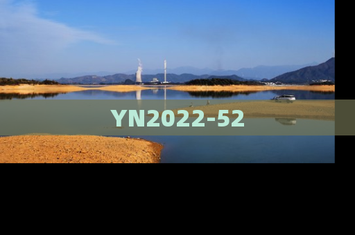 YN2022-52