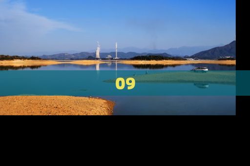 09