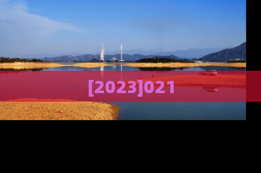 [2023]021