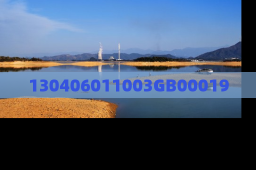 130406011003GB00019